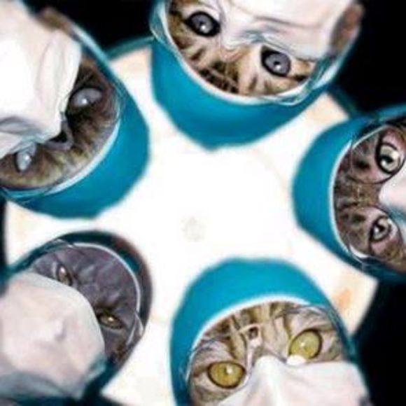 Meet your Posher, Angela - Picture 1 of 1